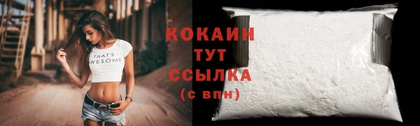 сатива Абинск