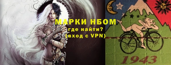 сатива Абинск
