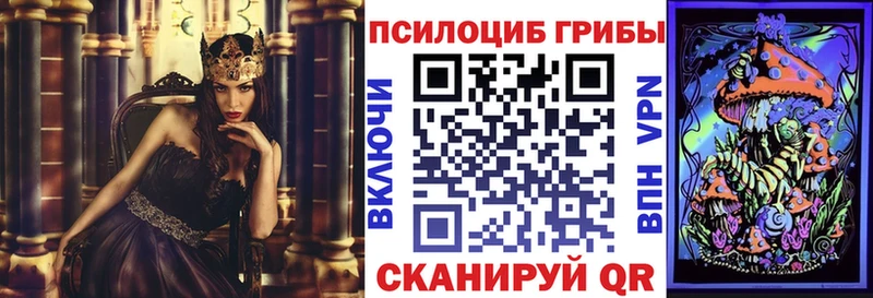 закладка  Новосиль  Галлюциногенные грибы прущие грибы 